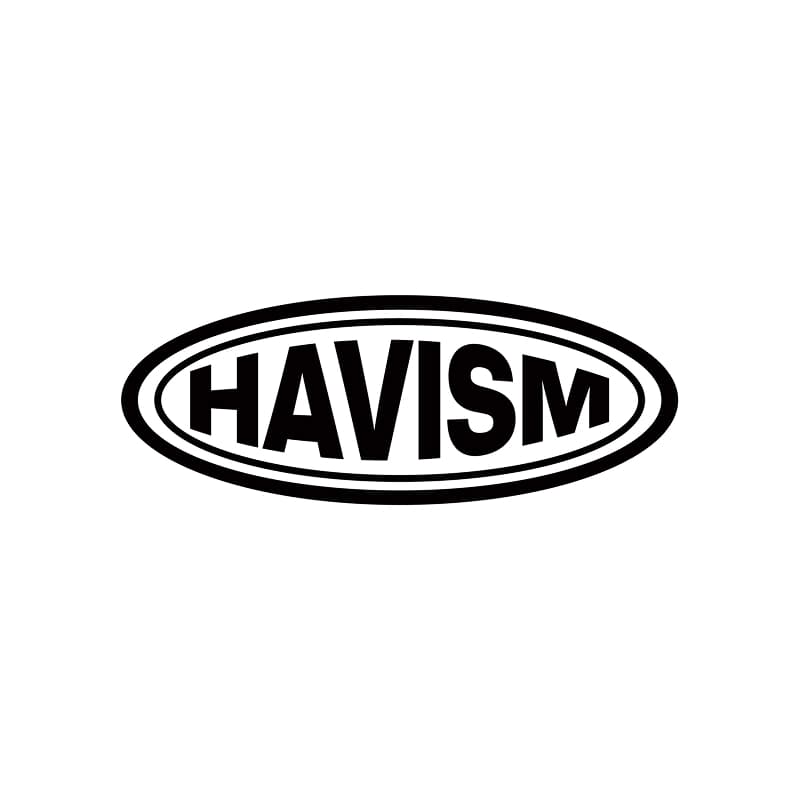 havism 세븐틴 민규 hover