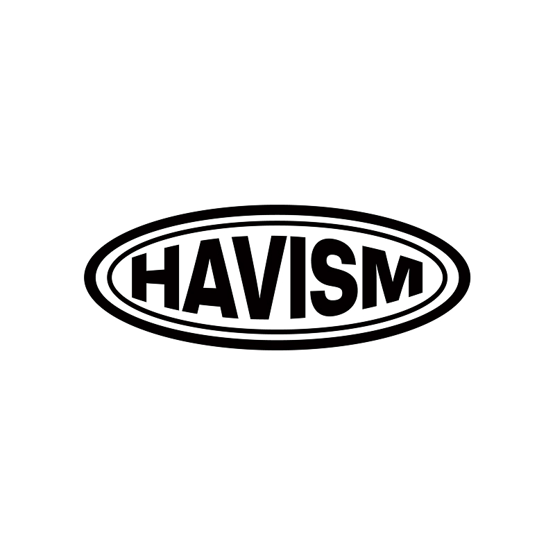 havism 세븐틴 민규 hover